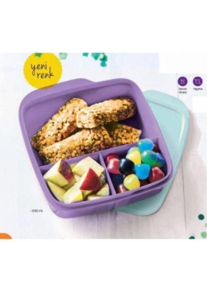 Luxury Bölmeli Beslenme Kabı Lila 1 Adet