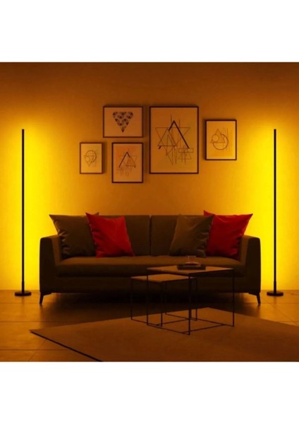 2 Adet Dekoratif Köşe LED Lambader -Led Lamba Işık Sistemi - Full Rgb 256 Renk