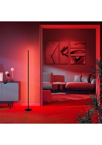 Özel Tasarım Dekoratif Rgb LED Lambader Kablosuz Kumanda Dekoratif Aydınlatma - Köşe Lambası