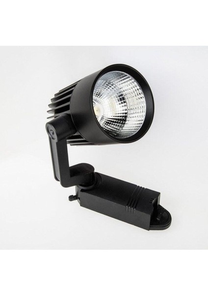 Ray Spot 20 Watt Gün Işığı Siyah Kasa