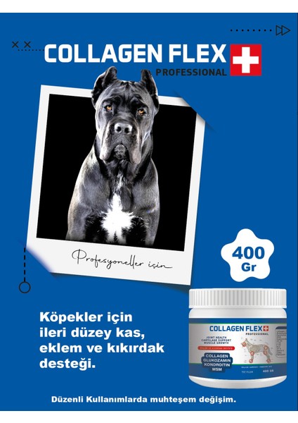 Ileri Düzey Köpek Gelişim Seti