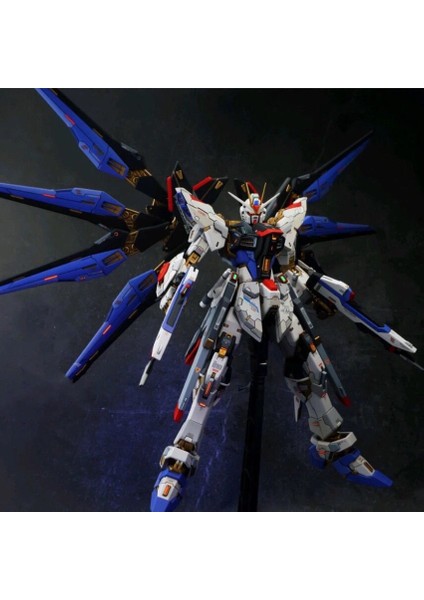 Gundam Hg Güçlü Saldırı Özgürlük Taipan Mecha Set Yapboz Model Mg Unicorn Oyuncaklar (Yurt Dışından)