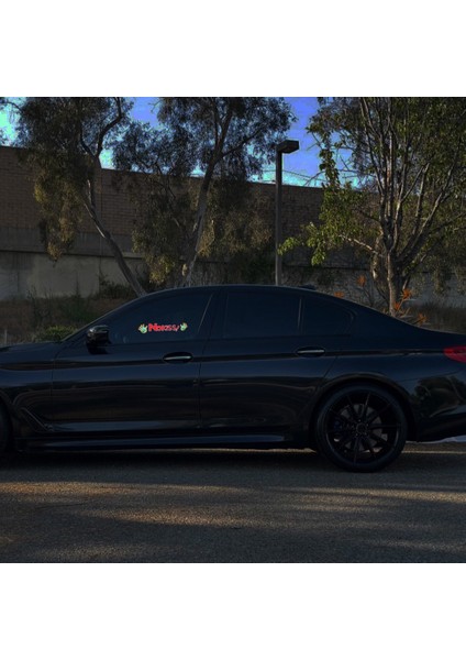 Nokiss Glow Panel Işık Yayan Pencere Araba Yarışı Etiket Ön Cam Dekoratif LED Işık Aksesuarları (Yurt Dışından) fırsatları