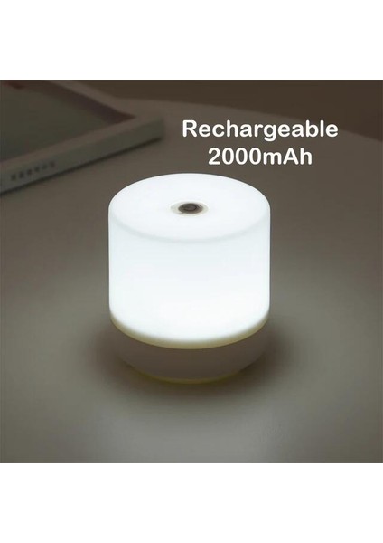 Dokunmatik LED Başucu Lambası 3 Renk USB Kademesiz Karartma Gece Lambası Göz Koruması Yatak Odası Okuma Masası Lambası (Yurt Dışından)