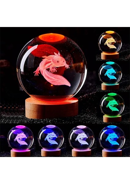 3D Axolotl Lazer Kazınmış Kristal Küre Renkli Gece Lambası Kız Arkadaş Iklim Eş Çocuklar Doğum Günü Hediyesi Ev Dekorasyonu (Yurt Dışından) fırsatları