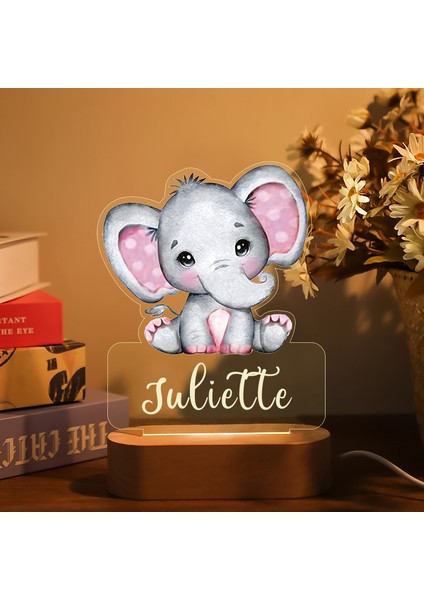 Kişiselleştirilmiş Çocuk Hayvan Gece Lambası Özel Isim Akrilik Lamba Bebek Çocuk Yatak Odası Dekorasyonu Yenidoğan Doğum Günü Noel Hediyesi (Yurt Dışından)
