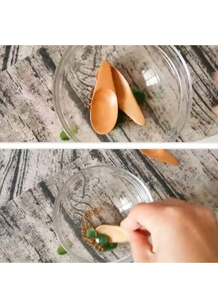 10 Adet Mini Tahta Kaşık Çeşniler Kaşık Kısa Saplı, Kahve Gevşek Çay Yaprakları Süt Tozu Baharat Şeker, Vb (Yurt Dışından) fiyatları
