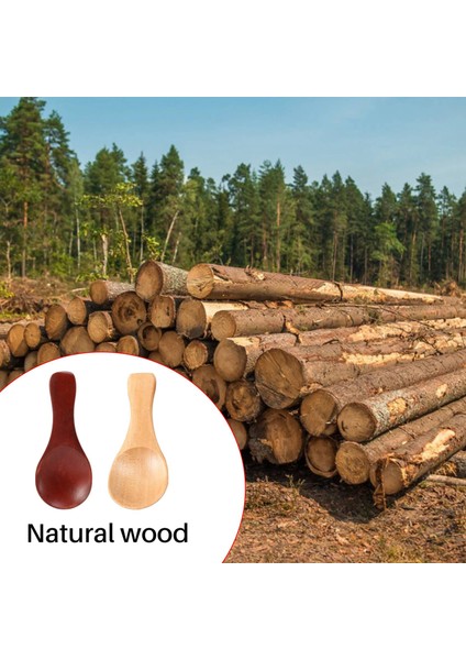 10 Küçük Tahta Kaşık Mini Baharat Şeker Baharat Tuz Bal Çay Kaşığı Kahve Çay Reçel Hardal Dondurma Tahta Kaşık (Yurt Dışından) modelleri