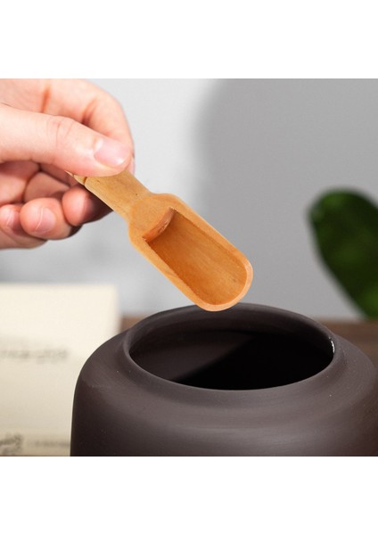 10 Adet Ahşap Mini Kepçe Tuz Şeker Kahve Kaşığı Mutfak Pişirme Aracı (Yurt Dışından) modelleri