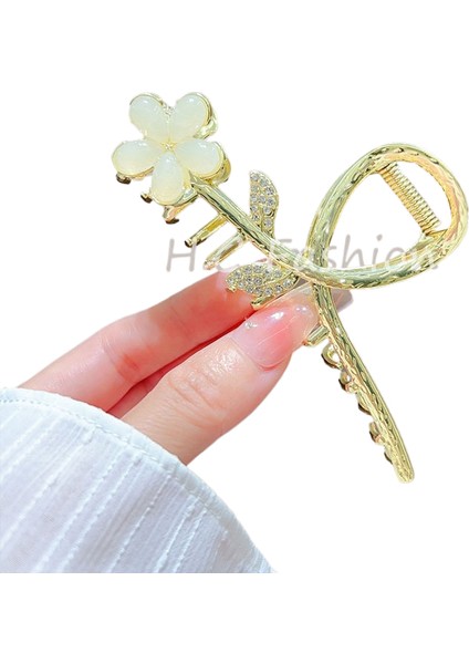 Saçak Plakası Köpekbalığı Klipsi (Yurt Dışından)