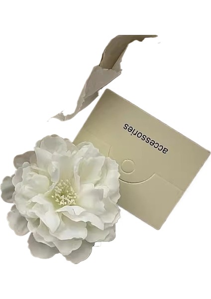 Saçak Plakası Saç Aksesuarları (Yurt Dışından)