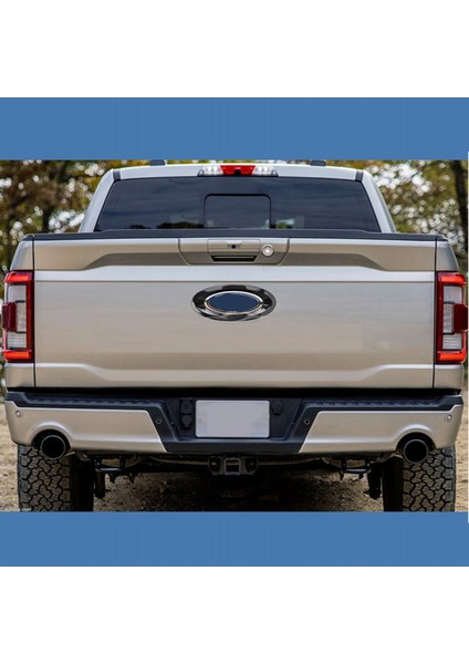 Arka Araba Logosu Amblemi Rozet Yüzük Kapağı Dekoratif Trim Abs Karbon Fiber Ford F150 F-150 2021 2022 Araba Aksesuarları (Yurt Dışından) indirimleri