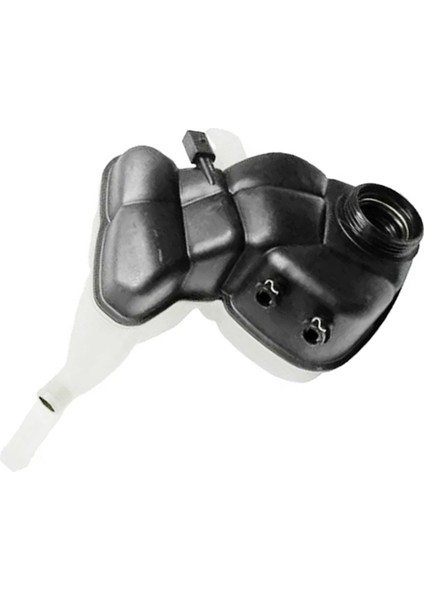 A2215000349 Soğutma Sıvısı Genleşme Taşma Tankı Şişe Soğutma Sistemi Yardımcı Kazan Mercedes Benz W216 W221 CL550 Için (Yurt Dışından)