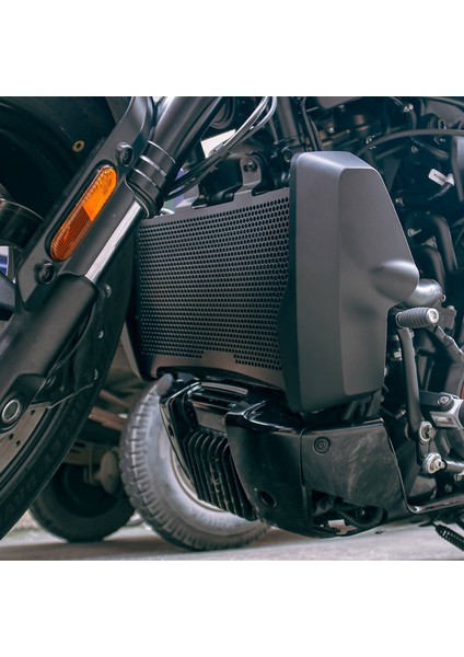Motosiklet Radyatör Koruma Motor Soğutucu Izgara Kapağı Koruma Harley Sportster S RH1250S 1250 Su Deposu Kalkanı (Yurt Dışından)