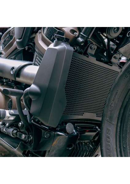 Motosiklet Radyatör Koruma Motor Soğutucu Izgara Kapağı Koruma Harley Sportster S RH1250S 1250 Su Deposu Kalkanı (Yurt Dışından)