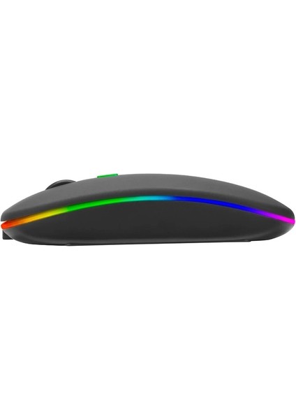Everest SM-BT11 USB Siyah 2ın1 Bluetooth 2.4ghz Şarj Edilebilir Kablosuz Mouse (4172)