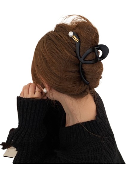 Moda Basit Tek Klips (Yurt Dışından)