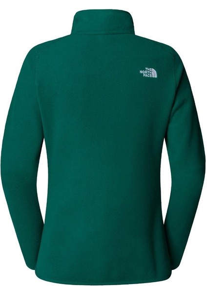 Kadın 100 Glacier 1/4 Zip Polar Yeşil indirimleri