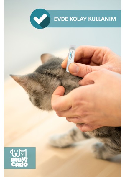 Kedi Köpek Dış Parazit Ense Deri Damlası - Bit Kene Pire Deri Bakımı Bitkisel Damla 4x1 ml ( Köpek ve Kedi İç Dış Parazit Damlası Harici Kullanım)