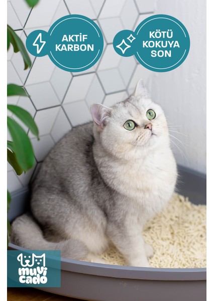 Kedi Kumu Koku Önleyici- Kedi Kumu Aktif Karbon - Kedi Kumu Tuvalet Koku Giderici Parfümsüz 150 gr fırsatları