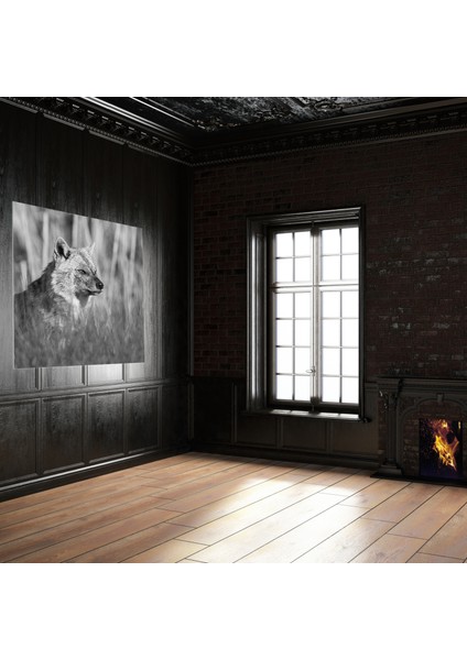 Kanvas Tablo Siyah Beyaz Tilki Seri