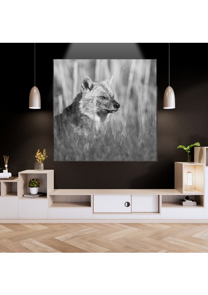 Kanvas Tablo Siyah Beyaz Tilki Seri fiyatları