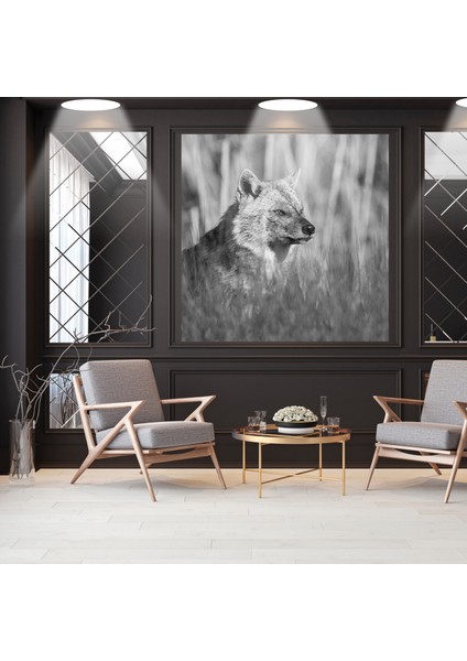 Kanvas Tablo Siyah Beyaz Tilki Seri modelleri
