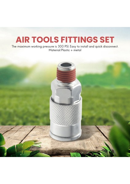 14 Parça 1/4 Inç Npt Hızlı Bağlantı Hava Bağlayıcısı ve Hava Kompresörü Aksesuarları Parçaları Için Fiş Kiti (Yurt Dışından) fiyatları