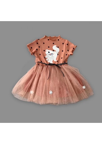 Petli Kedicik Baskılı Puantiyeli Kız Bebek Elbisesi Kahverengi fiyatları
