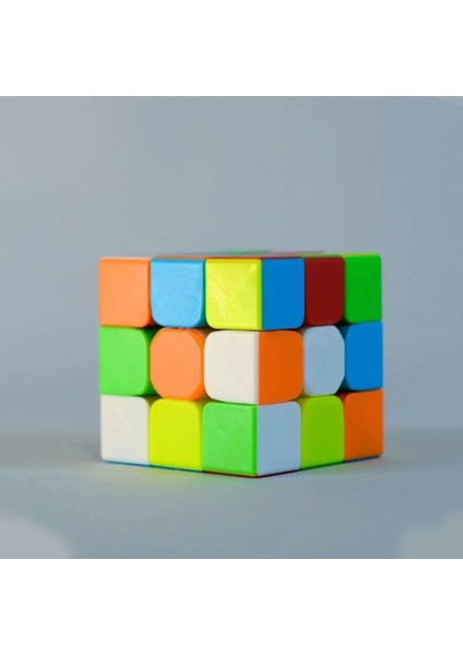 Luxury Zeka Küpü 3X3X3 1 Adet