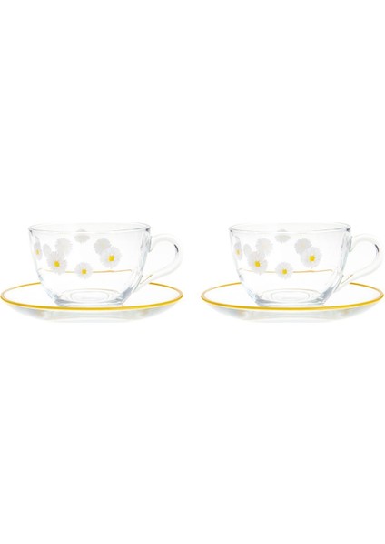 Luxury Fiona 4 Parça Çay Fincan Seti - Şeffaf - 238 ml 1 Adet