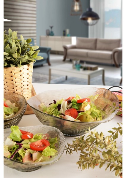 Luxury Angdesign Elisya Cam Salata Kasesi-4'lü Orta Boy Füme 1 Adet fırsatları
