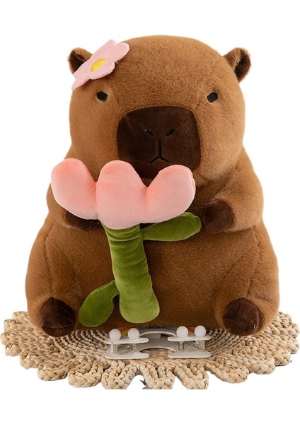 Kapibara Capybara Peluş Oyuncak Çocuk HEDIYESI-30CM (Yurt Dışından)