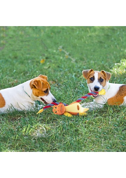 33CM Ateş Püskürten Ejderha Gıcırtılı Peluş Oyuncak (Yurt Dışından)