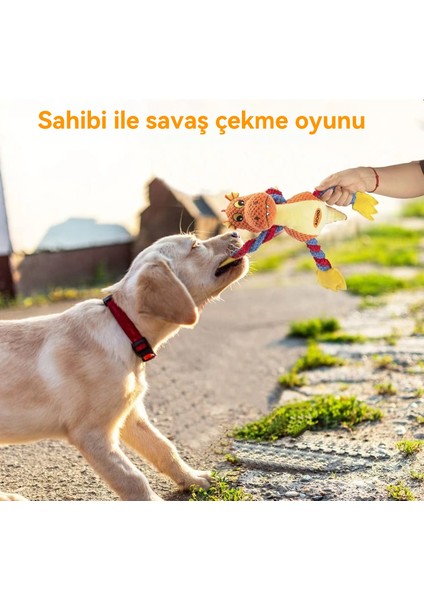 33CM Ateş Püskürten Ejderha Gıcırtılı Peluş Oyuncak (Yurt Dışından)