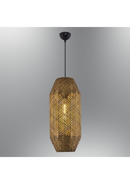 KRG4461-11-25 Domatia Tekli Sarkıt 30X60 cm