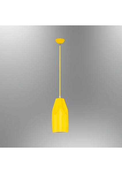 KRG6469-03 Tekli Altavoz Sarkıt