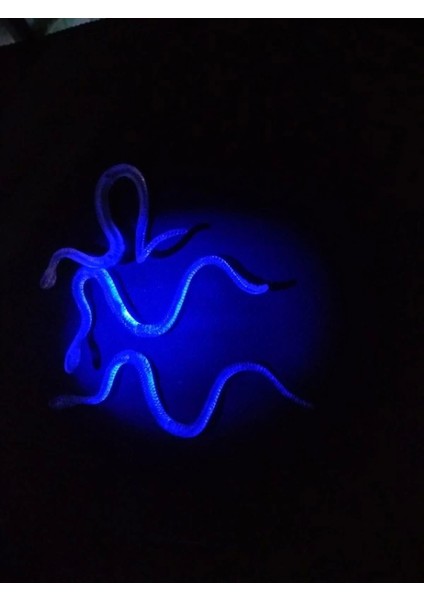 Şaka Yılan ve Kırkayak Karışık 36 Adet (4887) indirimleri