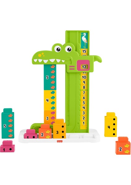 Matematikçi Timsah, 3y+, JCT13