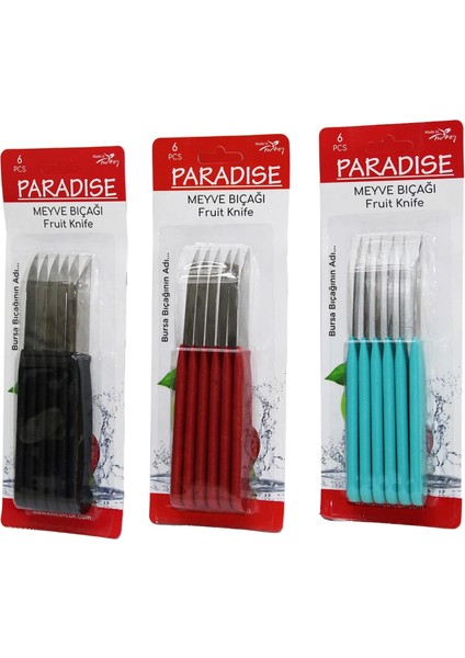 6 Parça Meyve Bıçak Renkli Plastik Saplı (4887)