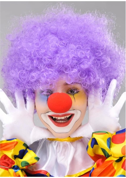 Mor Renk Kıvırcık Afro Bonus Peruk Takma Saç ve Kırmızı Burun Seti (4887) fiyatları