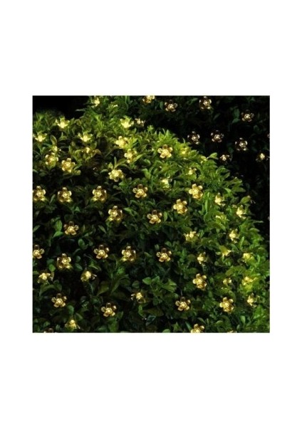 Solar Çiçekli Dekoratif 30 LED Bahçe Lambası modelleri