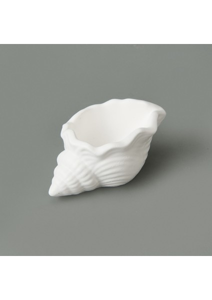 Deco Nautilius Dekor - Beyaz - 10 cm