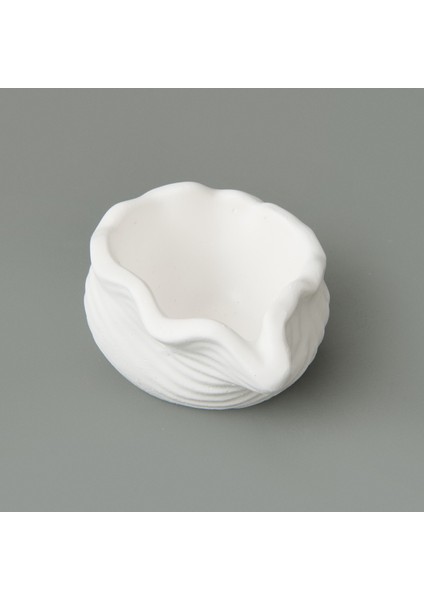 Deco Nautilius Dekor - Beyaz - 10 cm