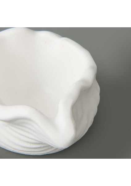 Deco Nautilius Dekor - Beyaz - 10 cm