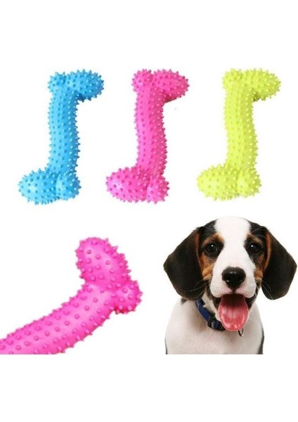 3 Adet Kemik Şekilli Renkli Tırtıklı Köpek Diş Kaşıma Isırma Aparatı Köpek Kemiği fiyatları