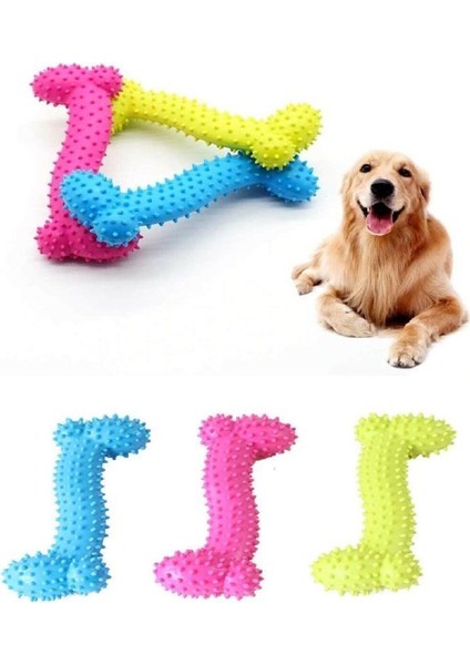 2 Adet Kemik Şekilli Köpek Diş Kaşıma Isırma Aparatı Köpek Kemiği