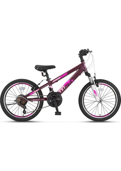 Luna 24 Jant 2069 V-21 Dağ Bisikleti Mürdüm fiyatları