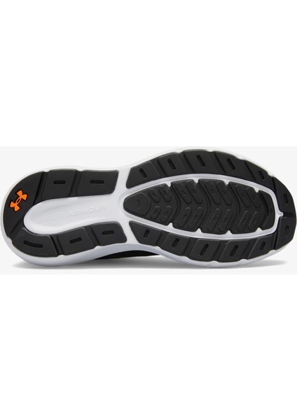 Charged Rogue 5 Erkek Siyah Koşu AYAKKABISI.003 indirimleri
