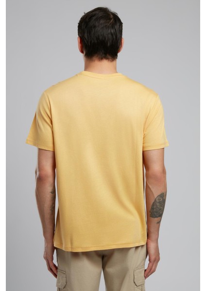 Gavino Erkek O Yaka T-Shirt Beyaz modelleri